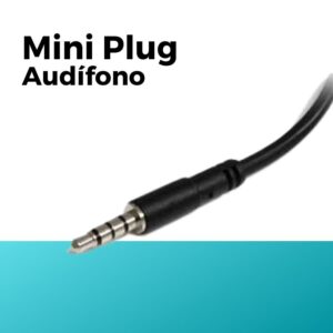 Mini Plug